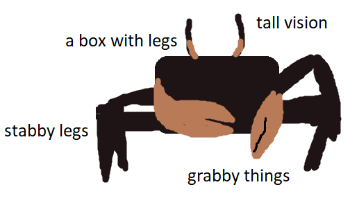 A schematic of a ghost crab. Not to scale.